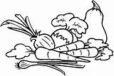 Vegetables Coloring Clipart Pages sketch template