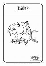 Kolorowanki Karp Dla Ryby Carp Kolorowanka Zwierzęta Obrazki Kolorowe Zwierzeta Kolorowankę Drukuj sketch template