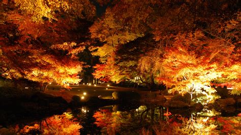 autumn  night rpics