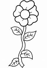 Tallo Largo Flower sketch template