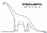 Brachiosaurus Herbivore Necked Lived 99kb sketch template