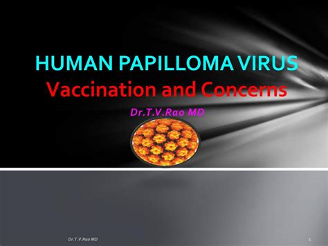 ppt human papilloma virus powerpoint presentation id 103065