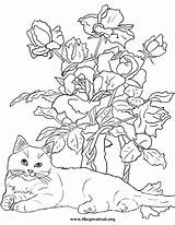 Flowers Cats Coloring Book Cat Pages Flower Thegreatcat Color Printable Enjoy sketch template