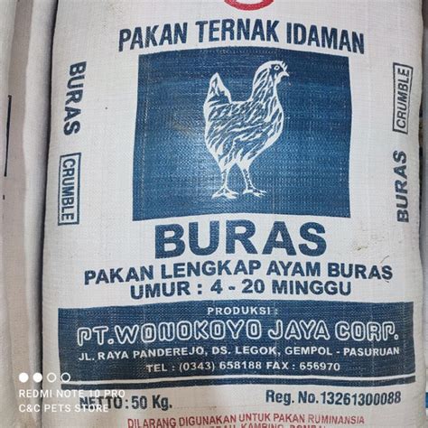 pakan ayam buras caraprofesor