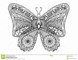 Borboleta Zentangle Farfalla Vlinder Desenho Borboletas Butterfly Libro Disegnato Stile Dello Mano Zentangles Estilizada Arte sketch template