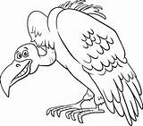 Vulture sketch template
