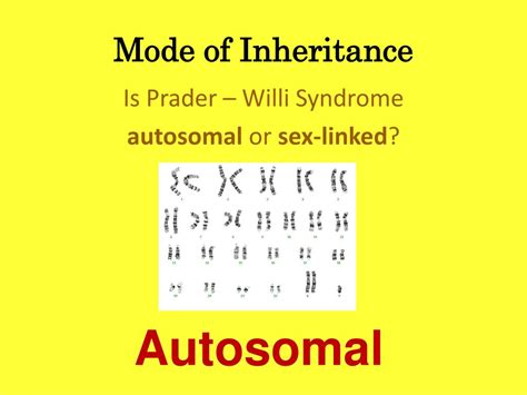 Ppt Prader – Willi Syndrome Powerpoint Presentation Free Download