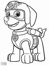 Paw Patrol Zuma Coloring Pages Canina Patrulla Print Dibujos Disney Colorear Para Printable Sheets Colouring Pintar Kids Guardado Desde Imagen sketch template