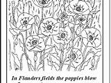 Flanders Field Drawings sketch template