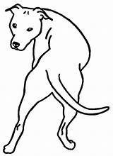 Stafford Pitbull Kleurplaten Honden Dieren sketch template
