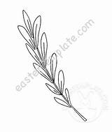 Olive Branch Vector Coloring Template Printable sketch template