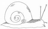 Slak Kleurplaten Herfst Colouring Snails sketch template