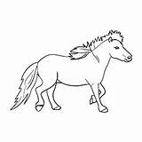 Horse Coloring Pages Miniature Color Horses Printable Irish Sport Toddler Draught sketch template