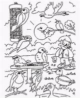 Vogels Kleurplaat Waldtiere Ausmalbild Tuin Voorjaars Dieren Malvorlagen Downloaden Vogeltjes Uitprinten sketch template