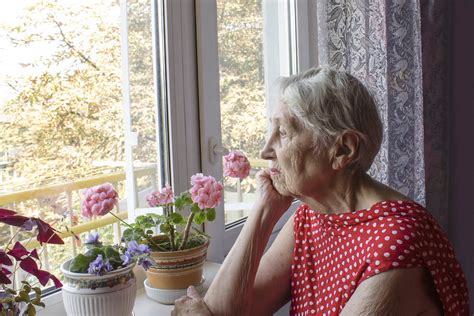 social isolation  elderly adults