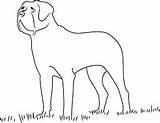 Hund Ausdrucken Bernard Poil Findest Malvorlagen Coloringpages101 sketch template