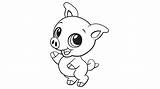Pig Coloring Designlooter 09kb 540px sketch template