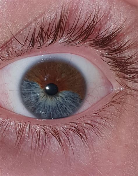 eye    colors rmildlyinteresting