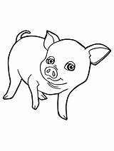Pig Coloring Pages Printable Kids sketch template