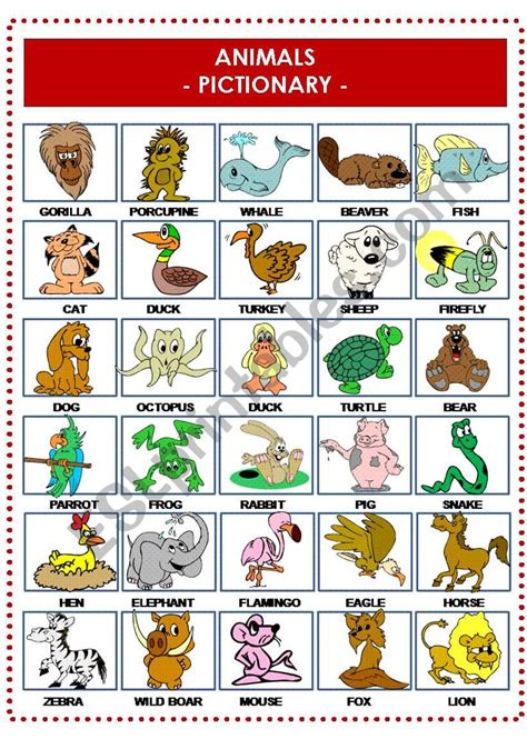 animals pictionary esl worksheet  evelinamaria