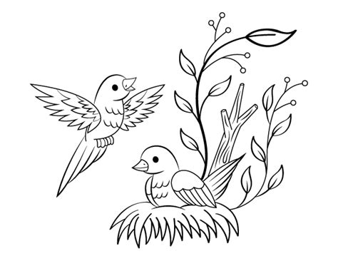 printable birds  nest coloring page