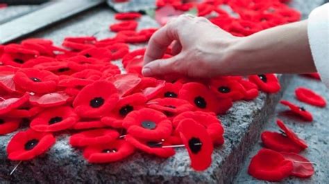 8 ways to pin your remembrance day poppy cbc news