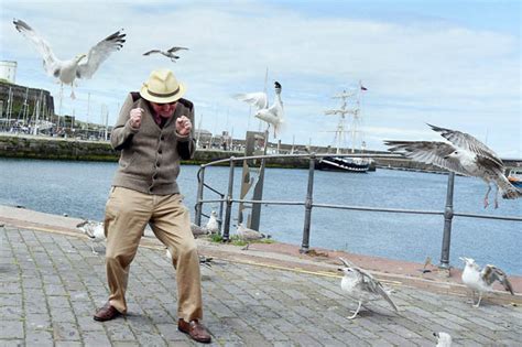 seagulls are labelled the top public enemy in a cumbrian