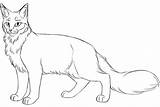 Oc Adoptable Longhaired Lineart Clans Foreign Semi Yellowfang Wolf Challange Img14 sketch template