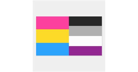 pansexual asexual pride flags sticker
