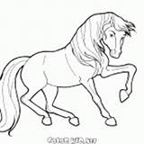 Cavalo Movimento Circo sketch template