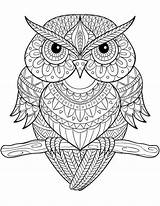 Owl Outline Mandala Coloring Pages Drawing Getdrawings sketch template