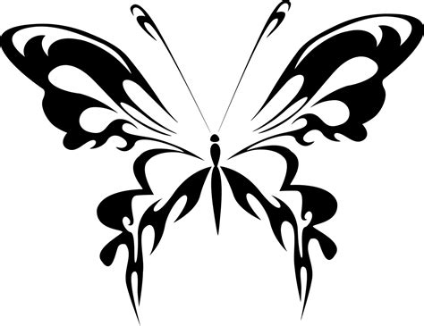 abstrak hewan hitam kupu gambar vektor gratis  pixabay