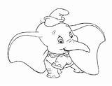 Dumbo Ferocious Elefantes Elefante sketch template