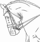 Dressage Horse Lineart Drawing Elf Rawr Shimmering Deviantart Drawings Getdrawings sketch template