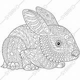 Coloring Bunny Adult Pages Choose Board sketch template