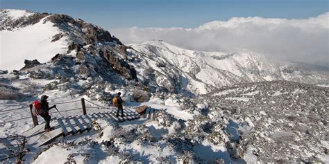 south koreans hike hallasan  countrys tallest peak  middle  winter huffpost