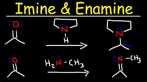 imine  enamine formation reactions  reductive amination youtube
