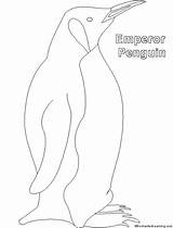 Emperor Outline Enchantedlearning Penguins Printout sketch template