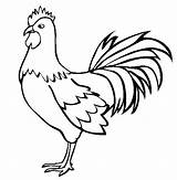 Rooster Coloring Pages Clipart Year Library sketch template