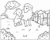 Sheep Lamb Coloring Pages Goats Spring Online Printable Animals Nature Template Color sketch template