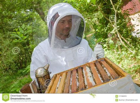 imker die aan open bijenkorf werken stock afbeelding image  zoet doos