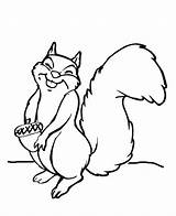 Squirrel Coloring Flying Pages Cute Cartoon Clipart Color Animal Drawing Drawings Clip Print Smile Big Colouring Printable Funny Cliparts Getcolorings sketch template