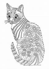 Coloring Cat Pages Rocks Detailed Flower sketch template