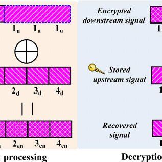 experimental setup  xor based encryption  ofdm pon system  scientific diagram