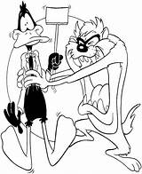 Taz Looney Tunes Tasmanian Daffy Apertando Colorear Patolino Desenho Tudodesenhos Wonder Coloriages sketch template