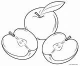 Coloring Pages Apple Apples Fruits Printable Cool2bkids Kids sketch template