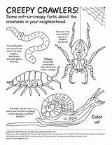 Crawlers Creepy Sciart Lynn Cramb Sara Lifeology sketch template