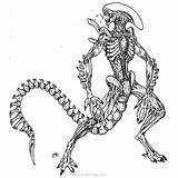 Predator Alien Coloring Pages Xcolorings 920px 138k Resolution Info Type  Size Jpeg sketch template