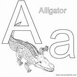 Aa Letter Coloring Pages Printable Alphabet Animal Via Printablee Childstoryhour sketch template