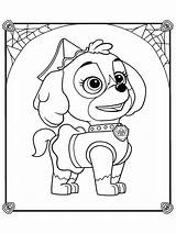 Skye Coloring4free Mycoloring Zuma Forget sketch template